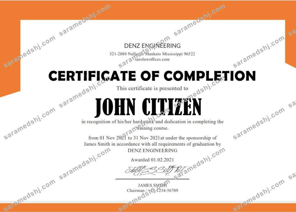 USA Denz Engineering Internship Cert